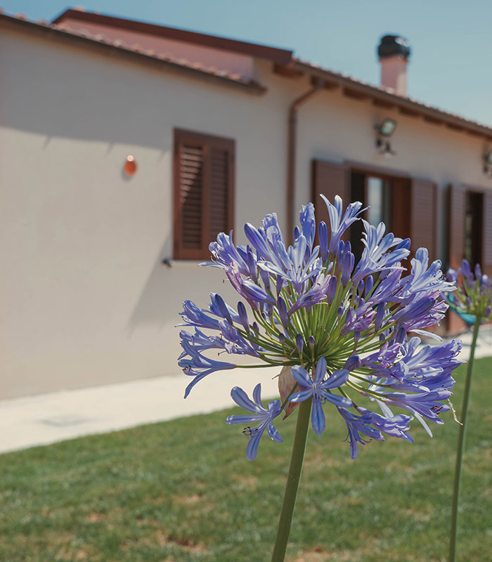 Relais L'Uliveto - Relax & Natura in Pineto in Abruzzo