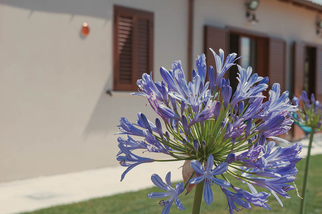 Relais L'Uliveto - Relax & Natura in Pineto in Abruzzo
